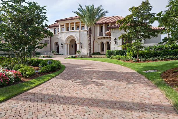 Best Local Driveway Pavers  in Los Fresnos, TX