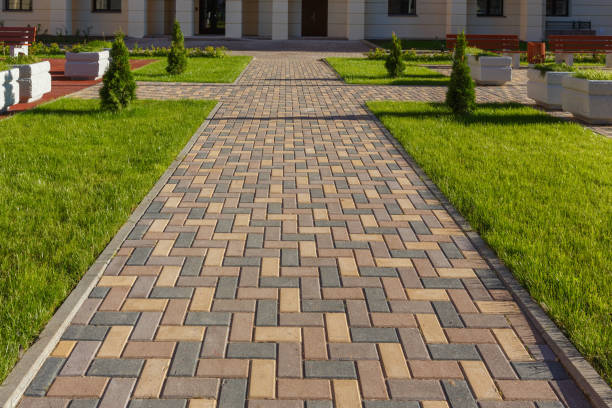 Best Residential Paver Driveway  in Los Fresnos, TX